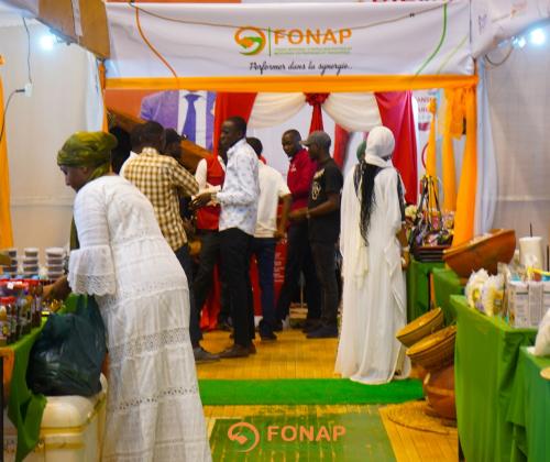 100/100 Made in Niger